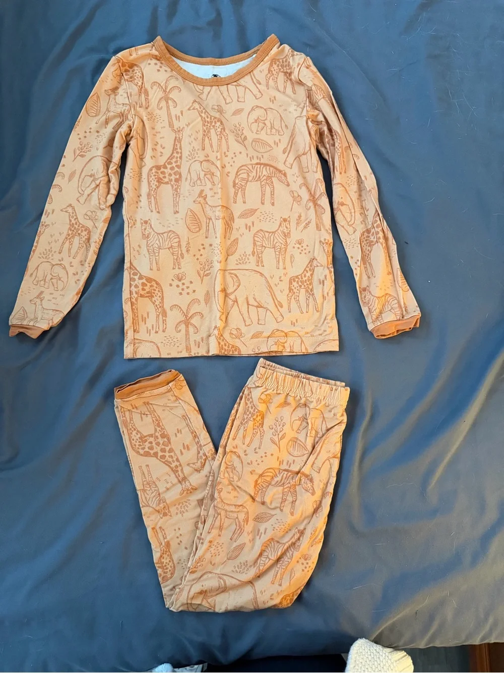 Lama Littles Savanna Long Sleeve Pants PJ Set 4T VGUC